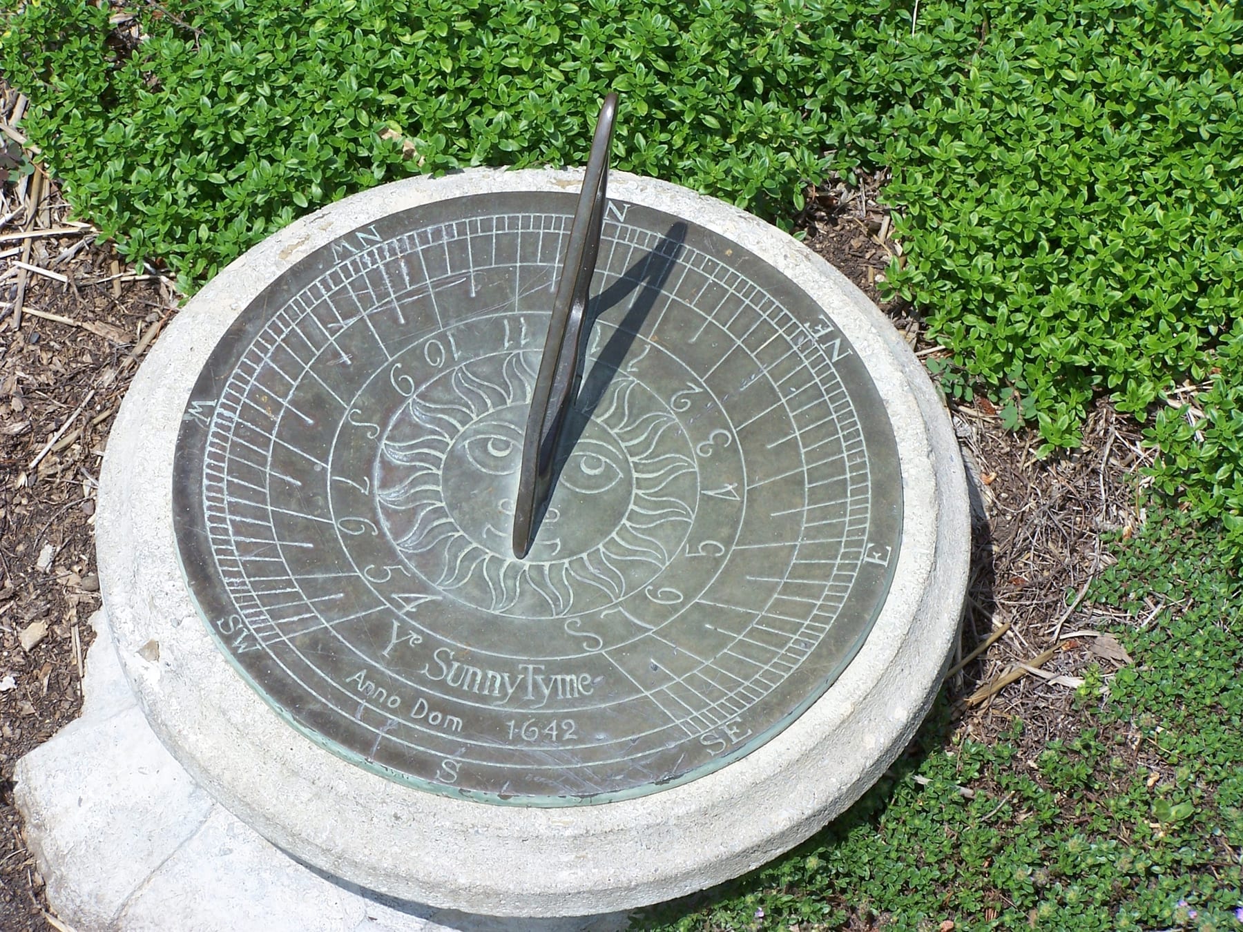 A metal horizontal sundial on a stone pedestal, surrounded by thyme in a botanical garden.